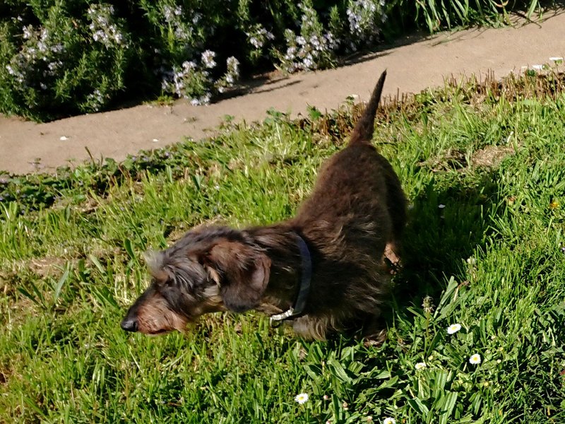 [Image: DSC-2580-A.jpg]