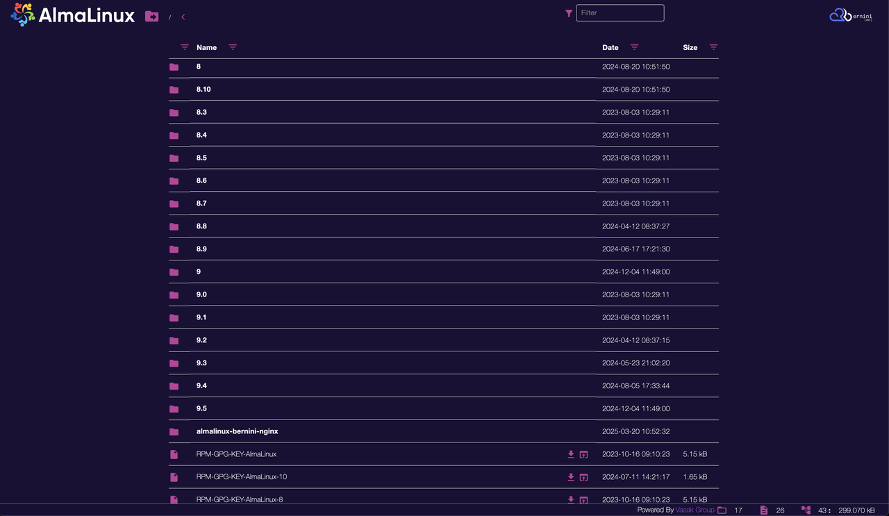 Theme NGINX para Bernini.DEV