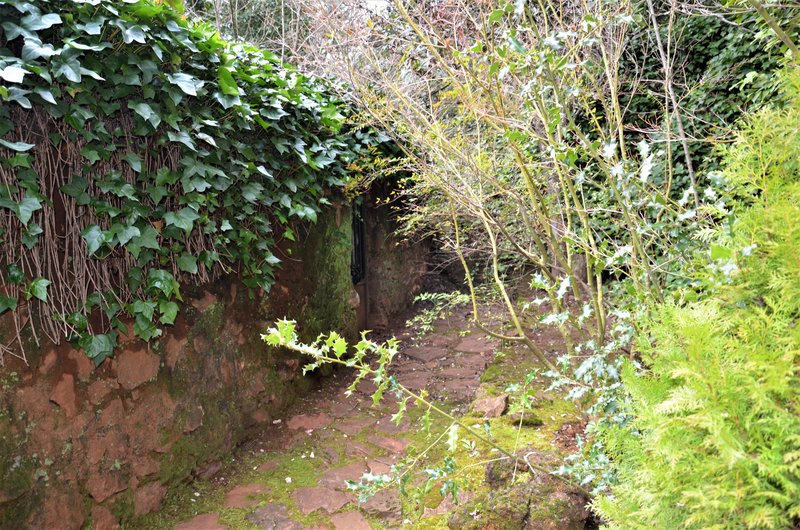 CUEVAS DEL CERRO DEL AGUILA-7-2-2015-AVILA - Paseando por España-1991/2016 (6)