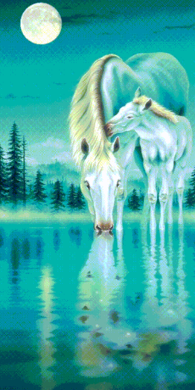 911C5391-6C48-4193-A7F5-88B36D1041FC