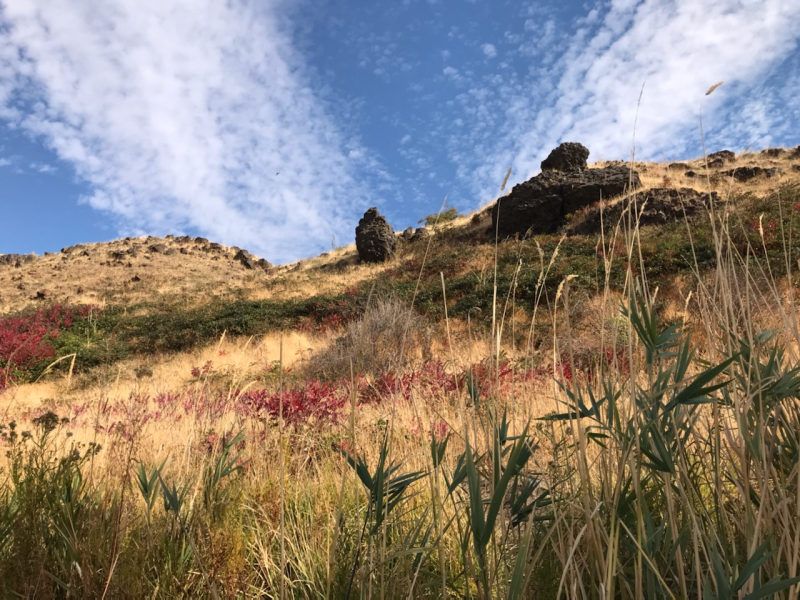 Sunrise Over the French Broad River 24hourcampfire