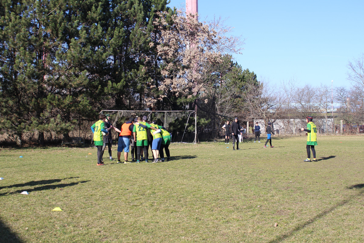 IMG-5239