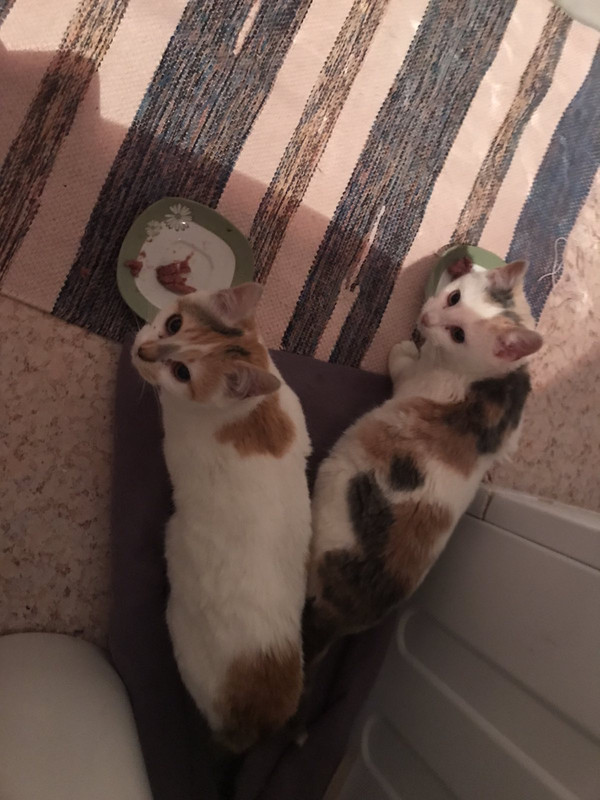 053BBB07-5EF1-45AA-A42B-987692401C54