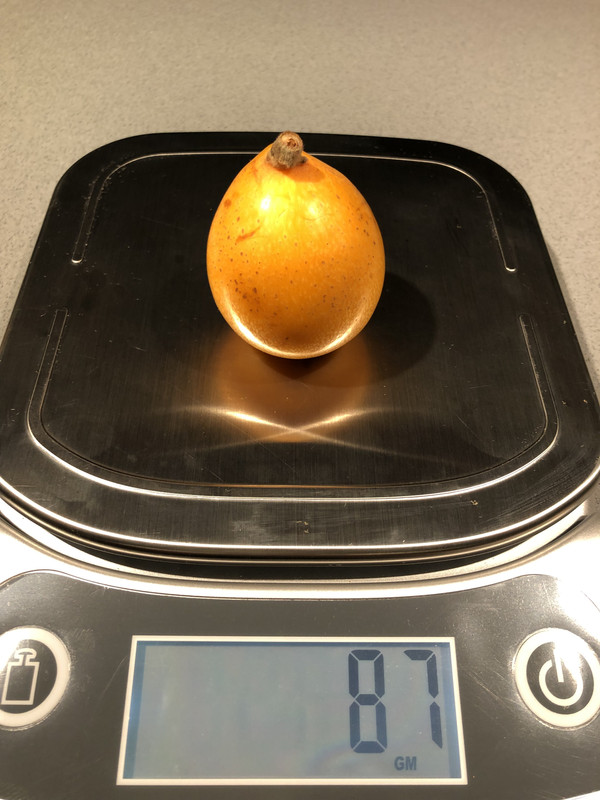 A3B1CCCE-C87B-400C-921A-225F153DE1CB