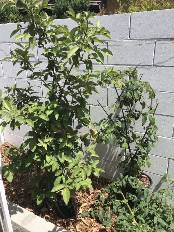 848BCF58-B251-44E9-B643-248F33FD3A89