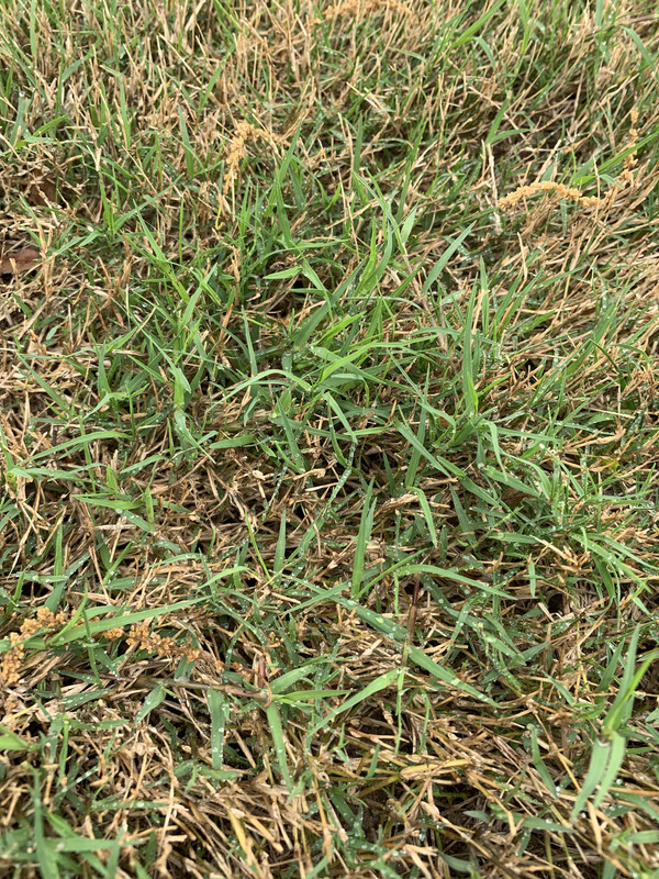 79C8BDC8-D9FF-4CDC-A9B3-AEA1B9D88D6A