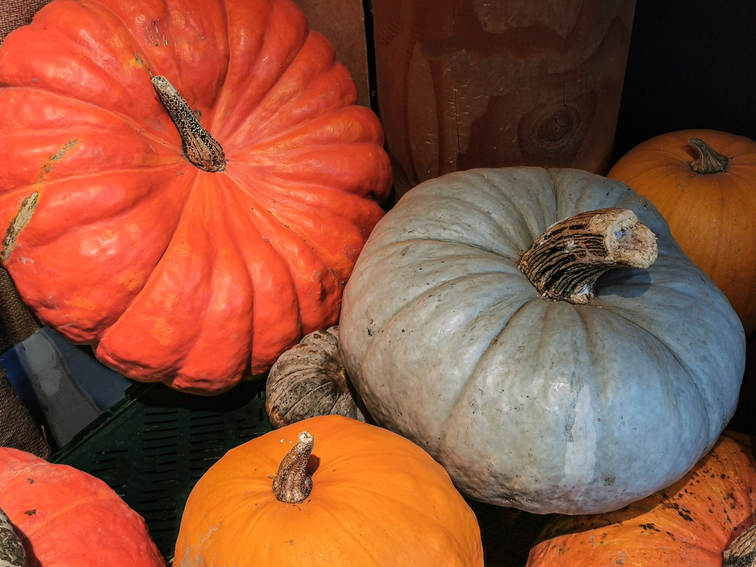 CD-défi39-IMG_20250924_111440