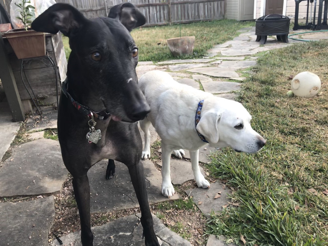 08A981D9-6016-4758-844F-E62C853261C6