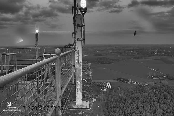 campics vanaf 30 januari © VWGGemert en bonusjes van ter plekke - Pagina 5 8