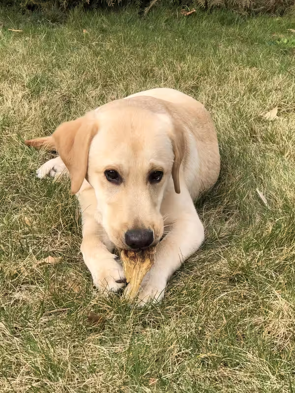 4460EDCA-6026-4856-8FD7-EFCCD31BED30