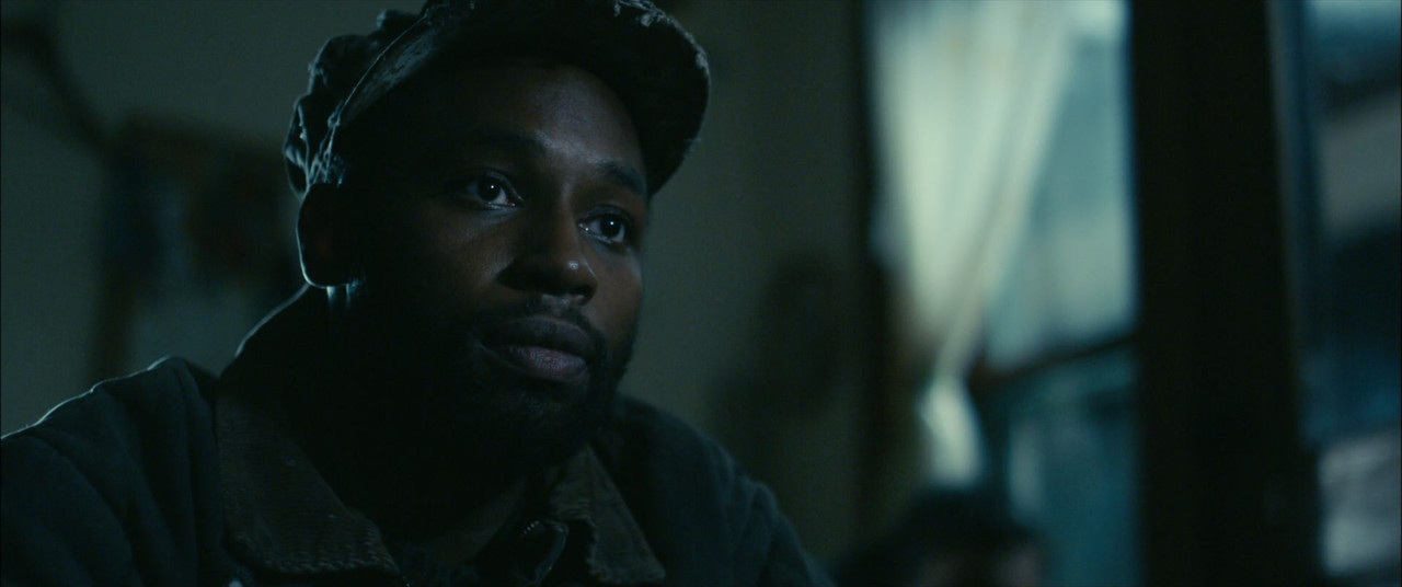 Stake Land (2010) (1080p BluRay x265 r00t)-9