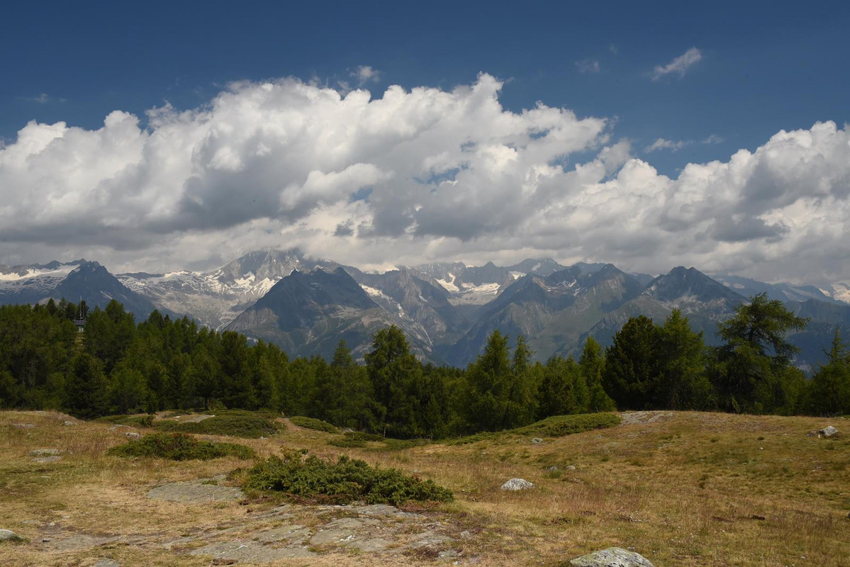 De Grindelwald a Eischoll (Zona de Valais) - Huyendo del COVID a los Alpes (2020) (71)