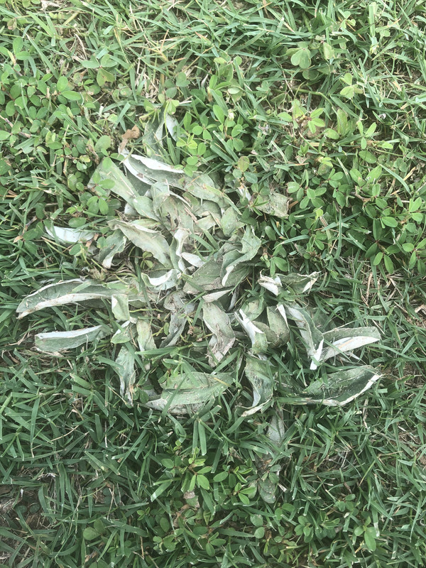 B423BA09-38E7-4120-9CF8-D29181A581AD