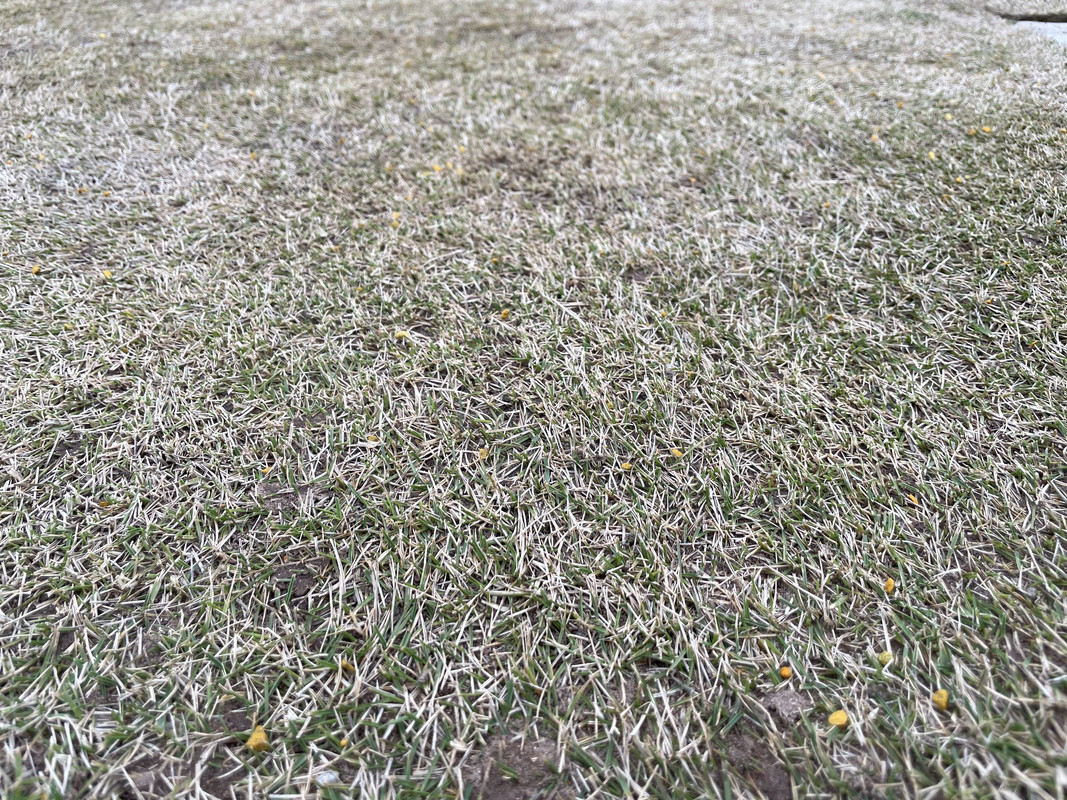 2B35A923-9D5E-4C9D-9F74-8F57A99F9E07