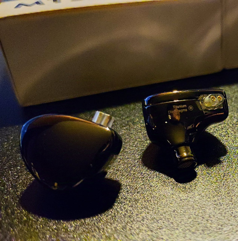 TRN MT5 Review