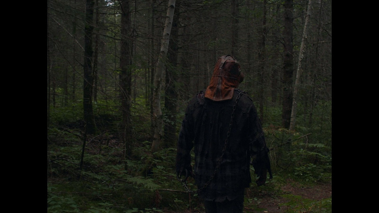 (Vietsub) In A Violent Nature 2024 BluRay 1080p REMUX AVC DTS-HD MA 5.1-LK.mkv_snapshot_00.41.24.065