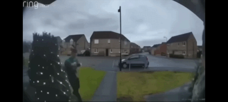 guy-holds-cat-up-to-doorbell-camera-cat-proceeds-to-say-mggaow.gif