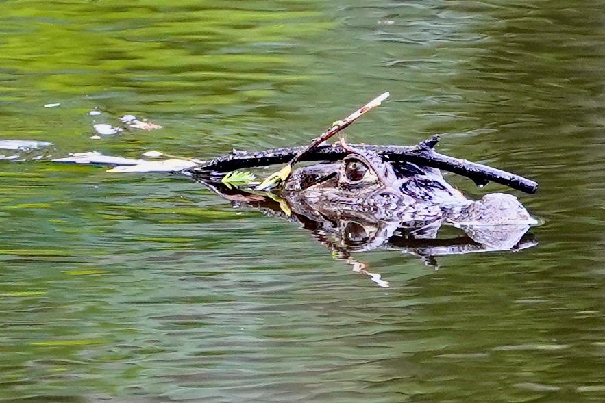 40ABE716-6A67-4EF0-81D0-FC5896B932EF