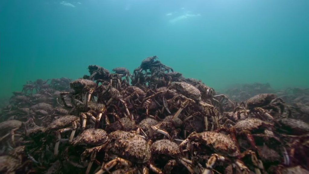 [Image: xwvy45l6bz5j.jpg]