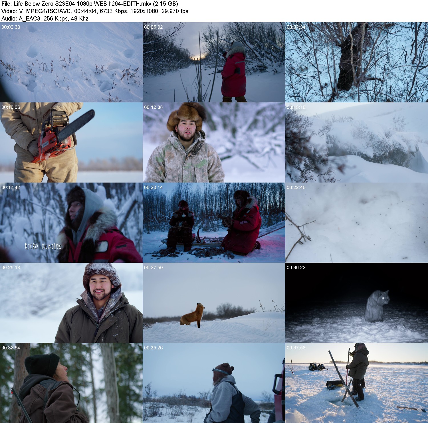 [Image: ld88dd7dq8hj.jpg]