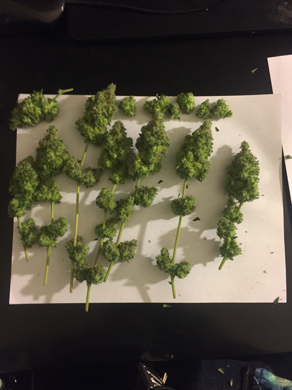 D674C845-0B09-41B6-BB8C-FD471D840F4A