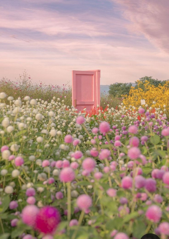 Screenshot_20240330_234324_Pinterest