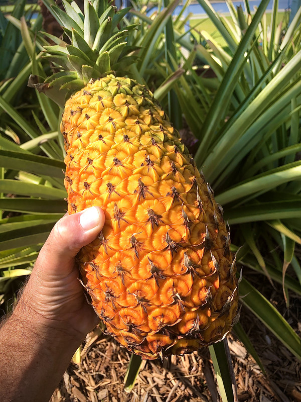 15C07F83-ACB9-4B69-A13D-998C07AE27A9