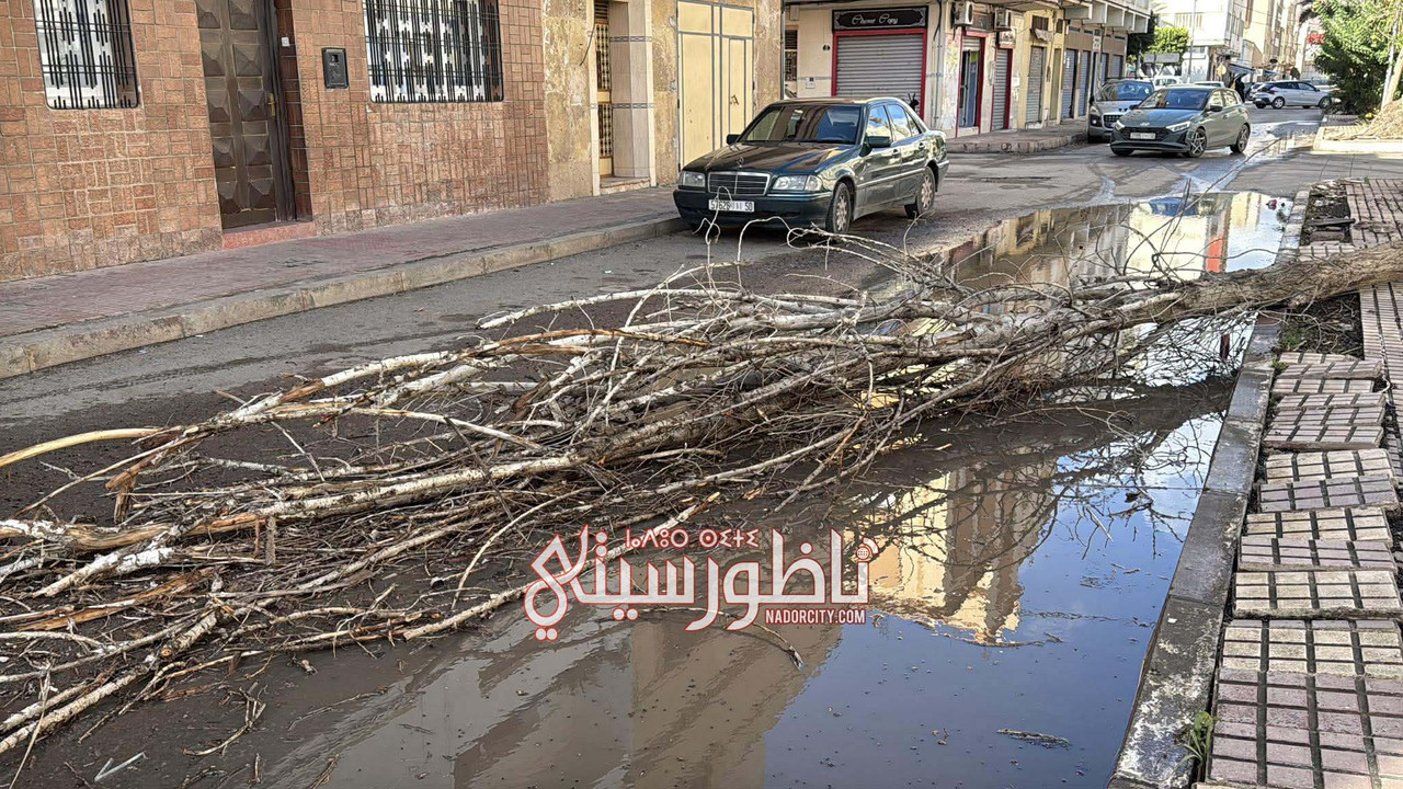 590732359-1379347983823339-4759780904709785571-n