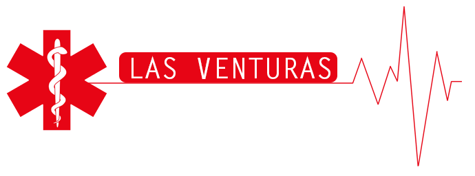 LVMS-logo-v1.png