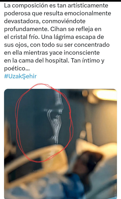 Screenshot 20251029 112745 Gallery