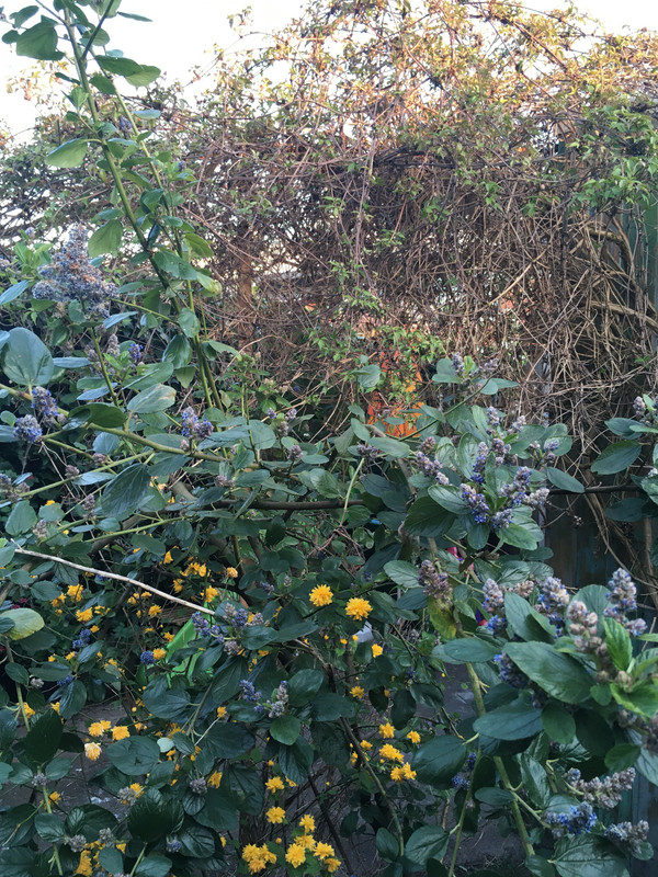 275D964A-C73A-4C47-BDC5-C8DD3DDECF97