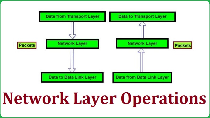 Network Layer in OSI Model