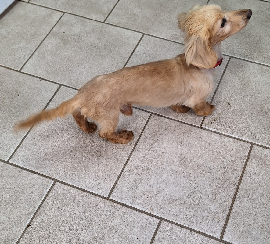 [Image: 20240426-104620.jpg]