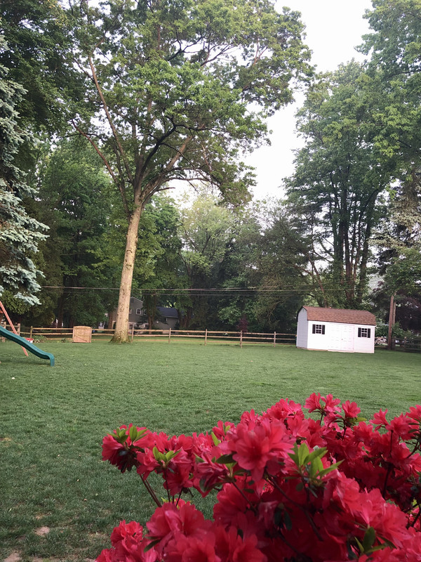 5FB6EAC9-DD04-44D2-A4C9-AA756E5EE1F6