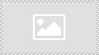 blank image