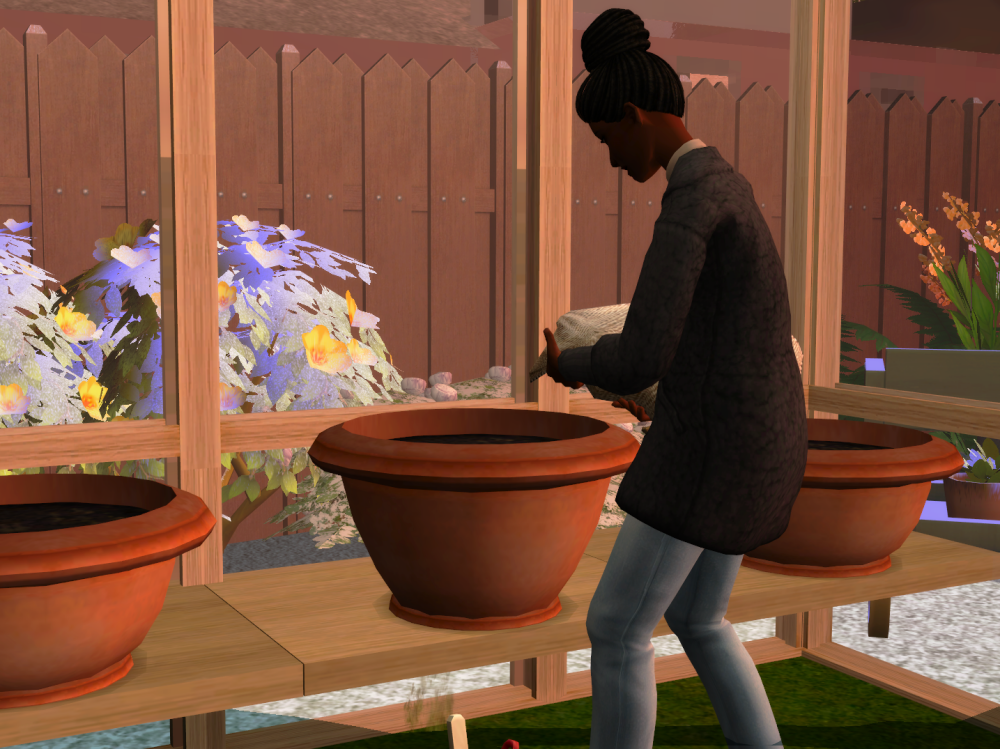 Sims2-EP9-RPC-2022-08-03-17-30-09-67