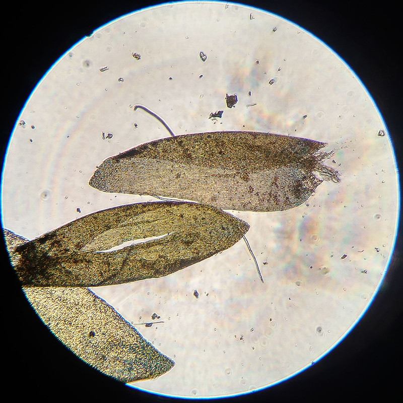 IMG 20250616 215833 HDR