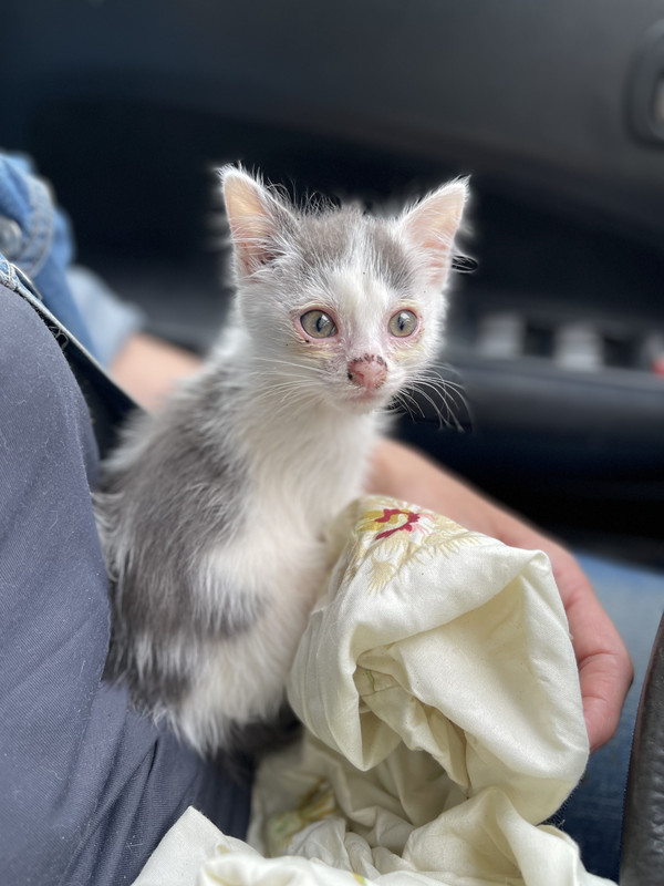 56D0DEBF-6CA3-41F2-A006-557F29EFCE12