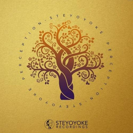 5c4229f8 2e1e 401a 8c1c 4f8dc2e4c7b8 - VA - Steyoyoke Perception Vol.06 (2020) FLAC