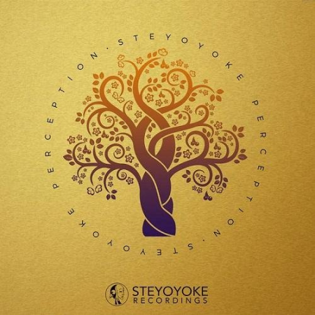 VA - Steyoyoke Perception Vol.06 (2020) FLAC