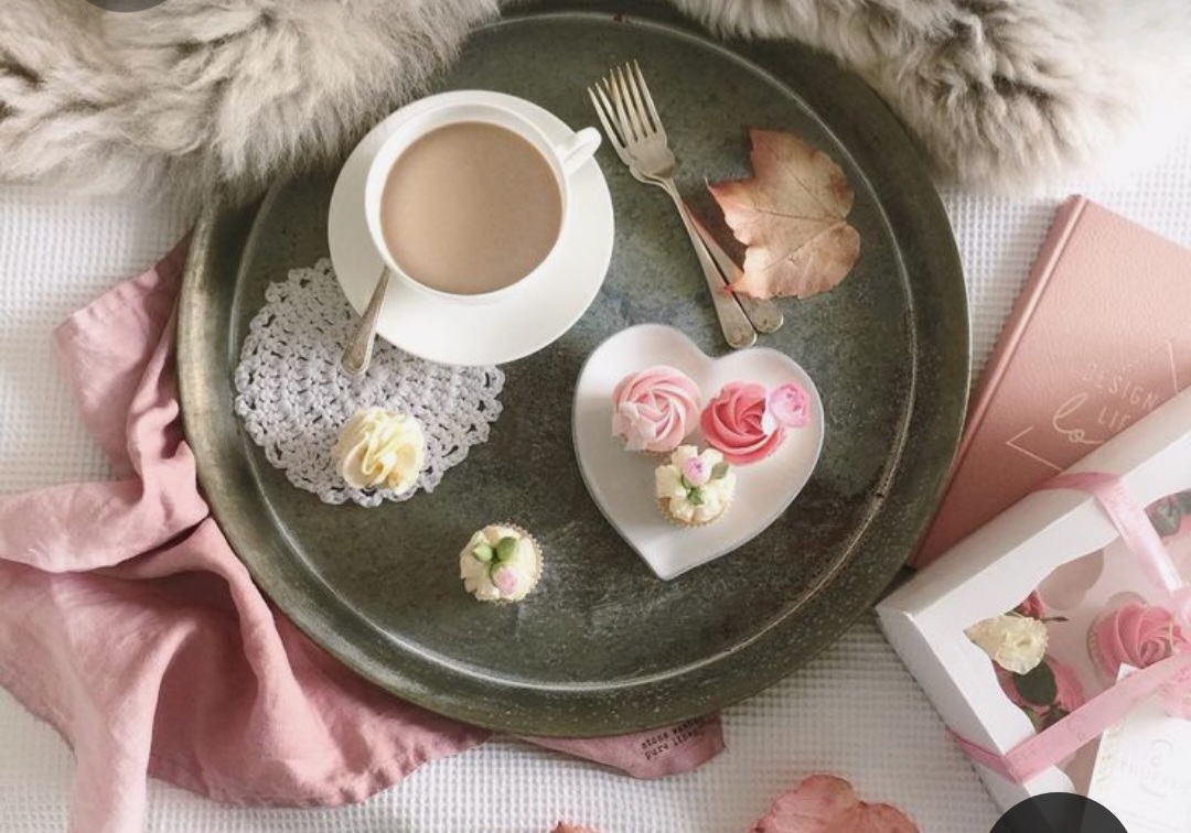 Screenshot_20230228_000041_Pinterest