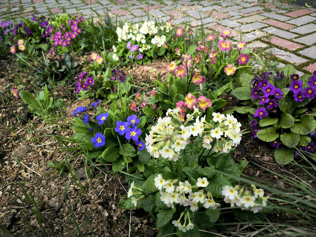 IMG_20240427_163903