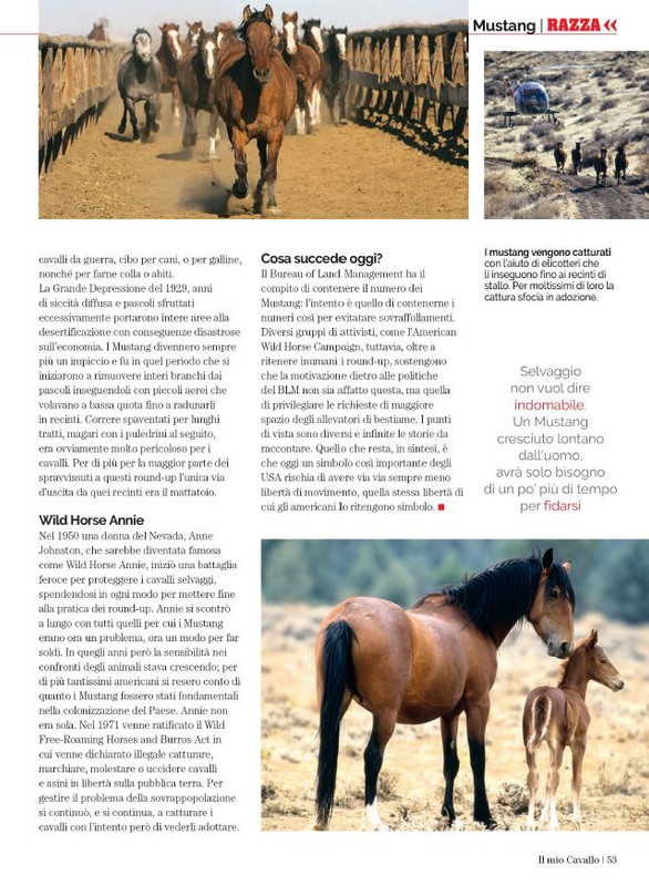 Il Mio Cav (Lug 2023) 8