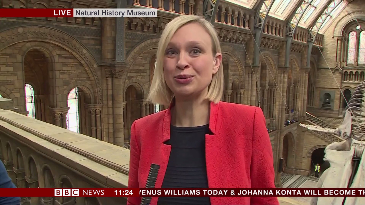 BBC Newsroom Live_20170713_11001130.ts_snapshot_
