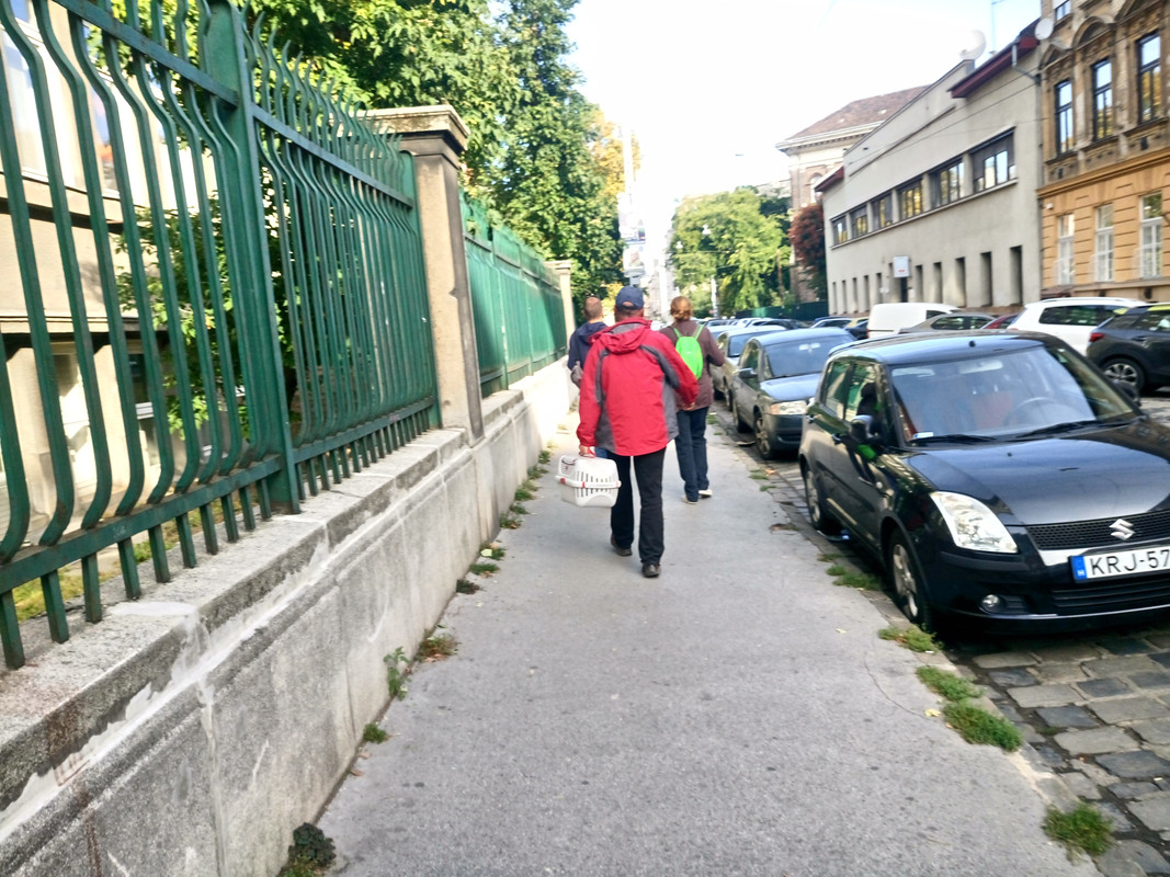 Kép