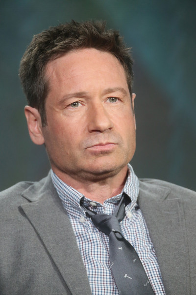 David Duchovny Net Worth: Uncovering the Wealth of an Icon! - SCPS Assam