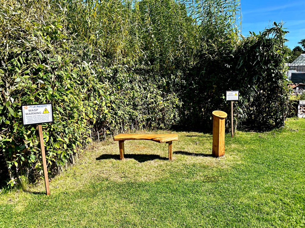 wasp-warning-bench-HD.jpg