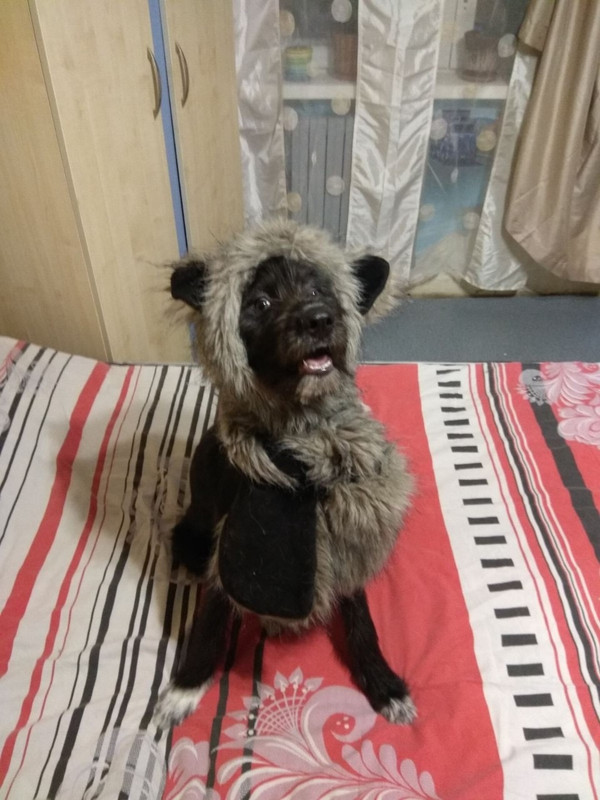 47F4B626-D8C4-4C70-9DF2-F5BD767351CE