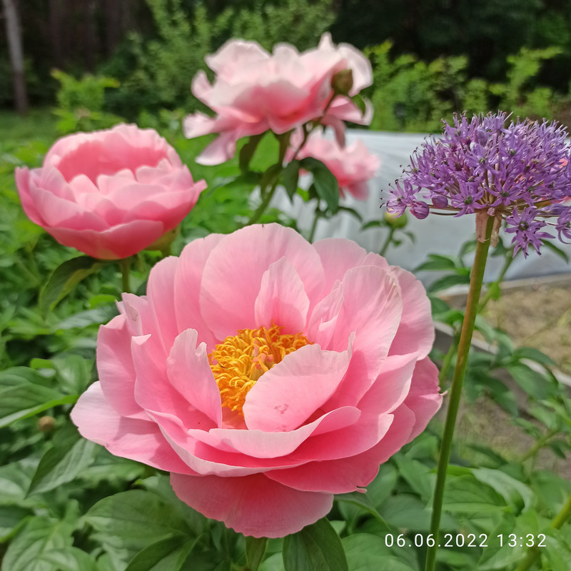 IMG_20220606_133251
