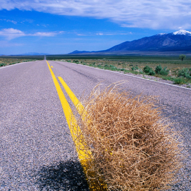 EF85-AD9-F-F53-D-4120-85-FA-962-A431502-A1